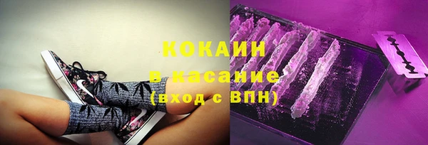 сатива Армянск