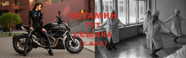 сатива Армянск