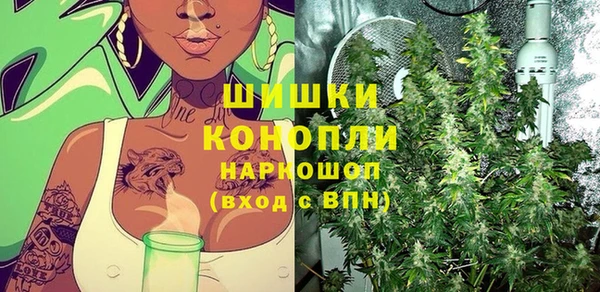 сатива Армянск