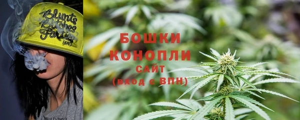 сатива Армянск