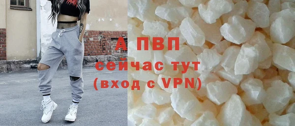 стаф Арсеньев